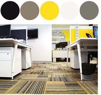 4 Stunning Office Colour Scheme Ideas | Blog | Future Fitouts