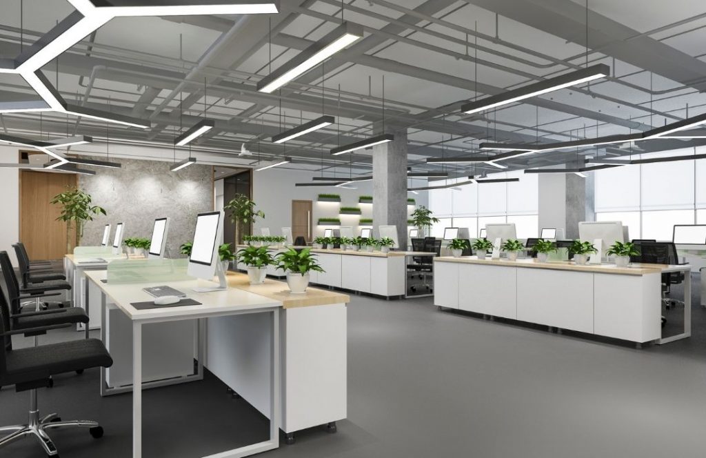 Biophilic Office Design | Biophilic Design in Offices | Future Fitouts